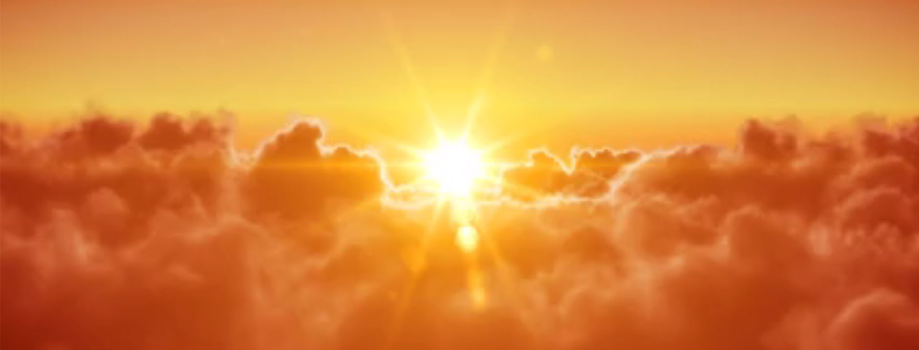 cetalus header slider1